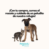 PETFECT LOVE